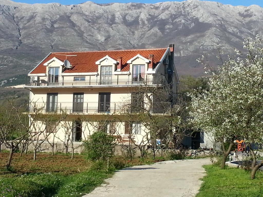 Ivetic * Kotor