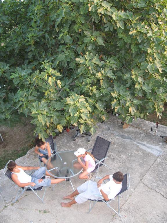 Appartement Ivetic